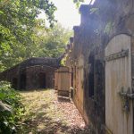 ...war es selbst am hellichten Tage recht duster.