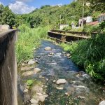 ...den Fluss Roxelanne.