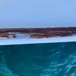 Überall blätterte nach noch nicht einmal einem Jahr...